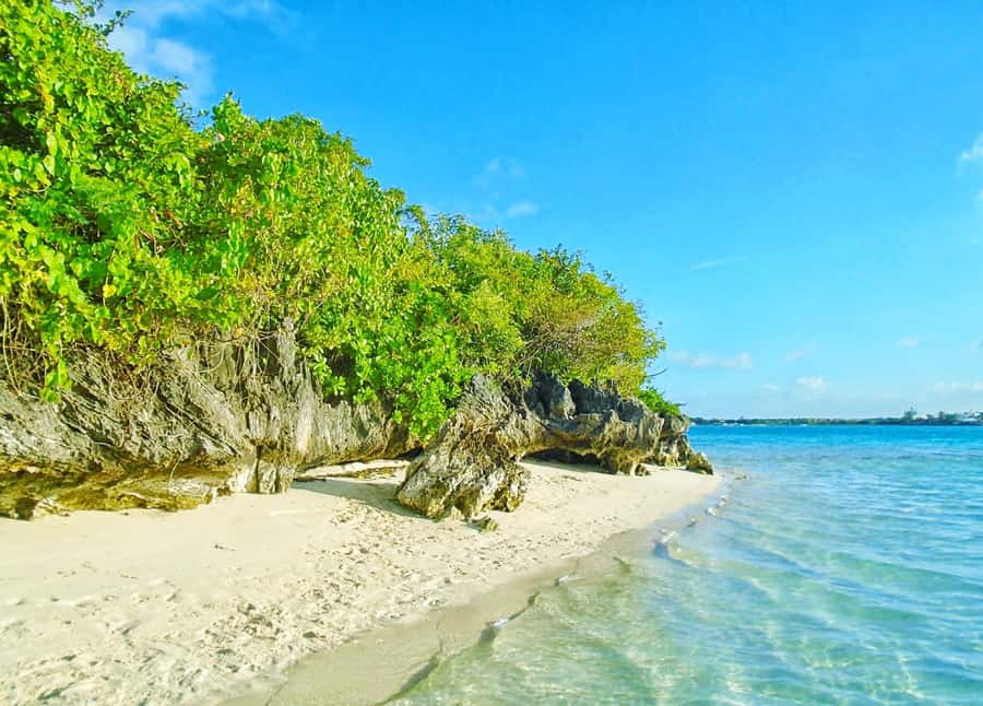 5 Islands Trip & Ile aux Cerfs inc Lunch, Drinks & Transport - Key points to know before booking