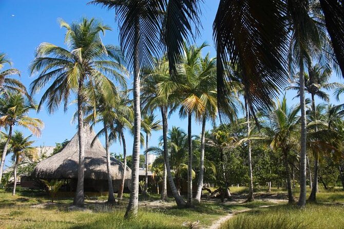 5 Islands VIP Escape : Snorkeling, Private Lunch & Open Bar - Starting near the Clock Tower in central Cartagena