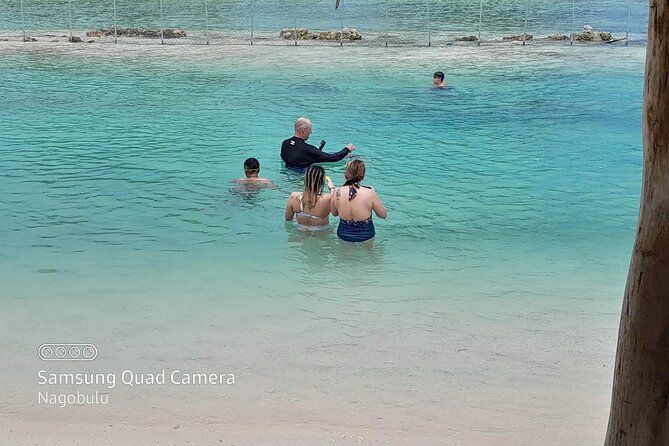 83 Islands Distillery & Sightseeing of Port Vila with Yumi Tours - What the $100 price includes