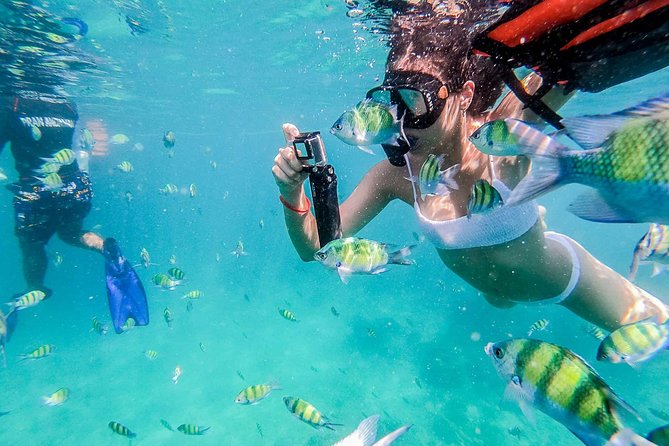 All-in Phi Phi, Maiton, MayaBay, Khai, Bamboo islands Tour - Maya Bay: famous cliffs, limited beach time