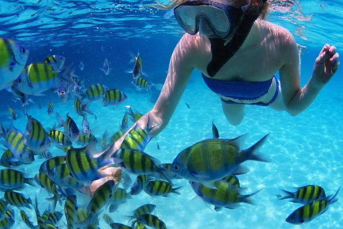 All-Inclusive San Blas Islands Day Tour from Panama City - A long road to four small Caribbean islands