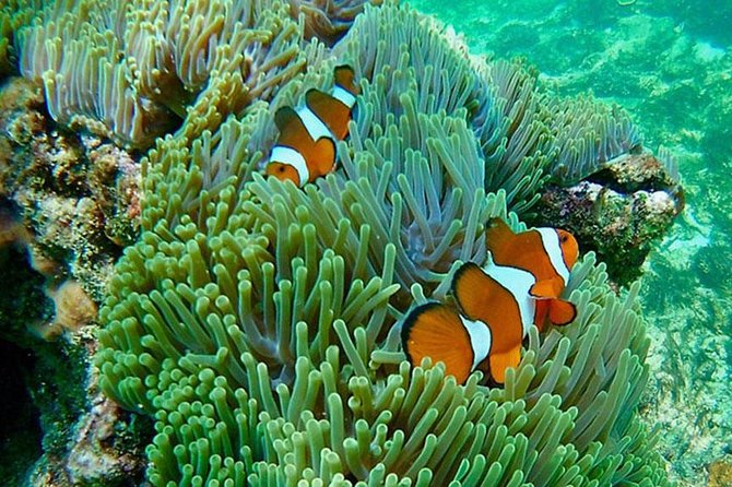 Amazing Krabi 7 Islands One Day Snorkeling Tour By Big Longtail Boat - Poda Island, lunch, and time to slow down