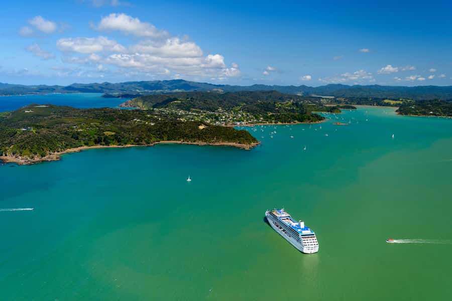 Auckland: Bay of Islands Day Tour with Dolphin Cruise - Key points to know before you book