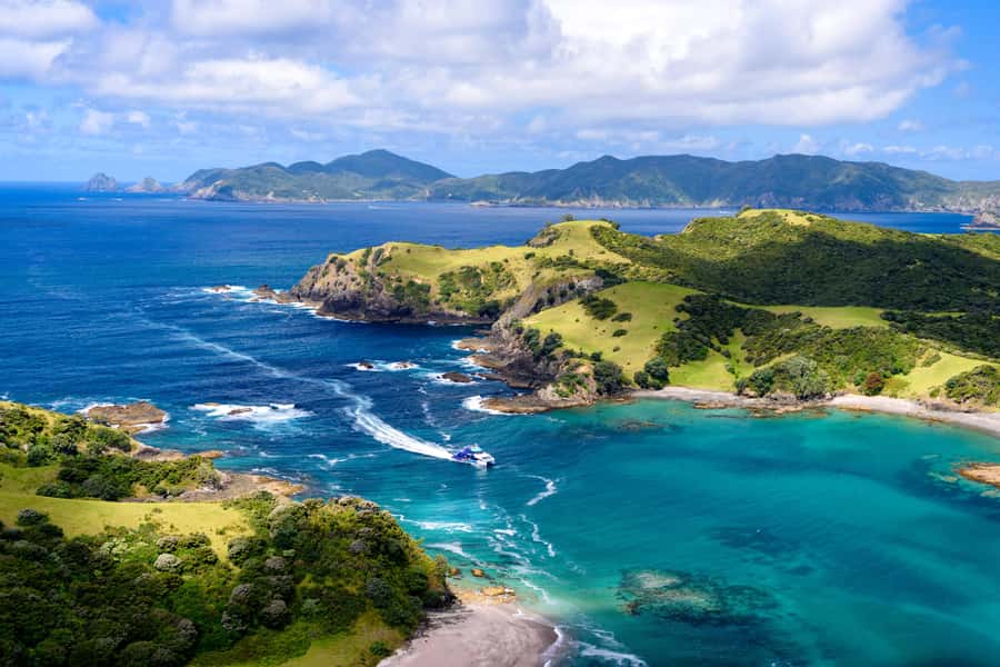 Auckland: Bay of Islands Day Tour with Dolphin Cruise - A very long day with a very good payoff