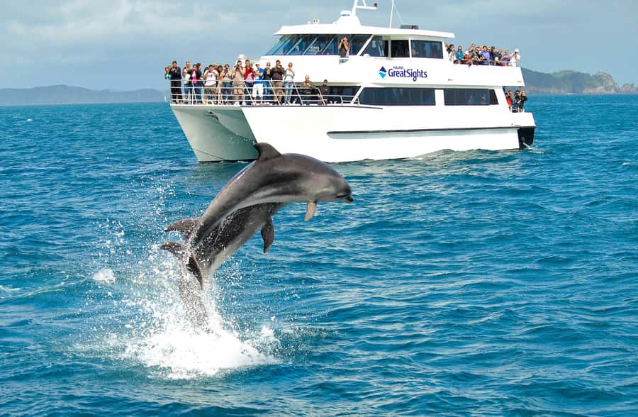 Auckland: Bay of Islands Day Tour with Dolphin Cruise - Otehei Bay gives the day breathing room