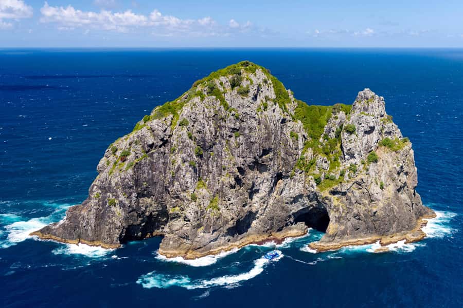 Auckland: Bay of Islands Day Tour with Dolphin Cruise - What the $283 price really covers