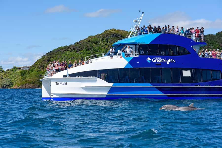 Auckland: Bay of Islands Day Tour with Dolphin Cruise - The return to Auckland