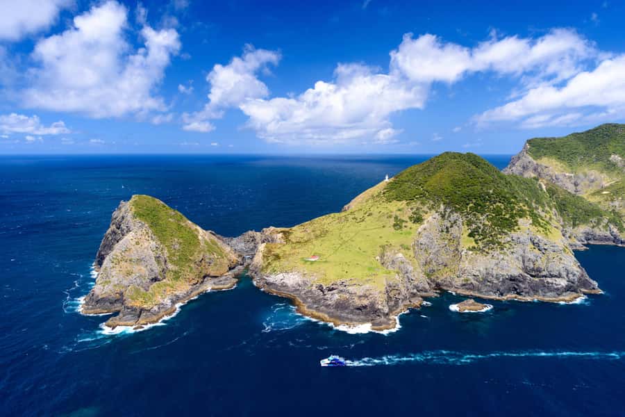 Auckland: Bay of Islands Day Tour with Dolphin Cruise - Who should book this Bay of Islands day trip?