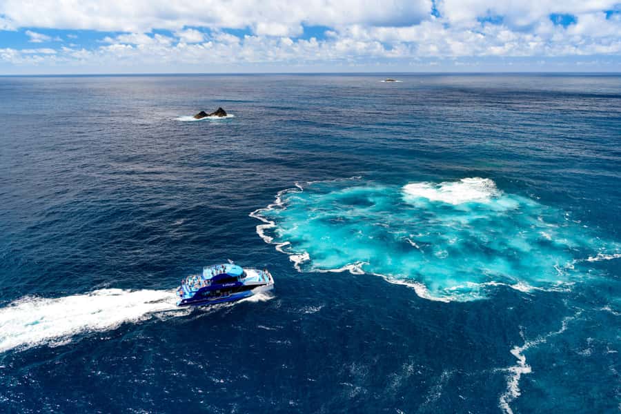 Auckland: Bay of Islands Day Tour with Dolphin Cruise - Practical preparation for a better day