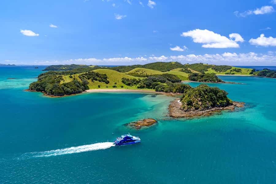 Auckland: Bay of Islands Day Tour with Dolphin Cruise - From Auckland Harbour Bridge to Northland countryside