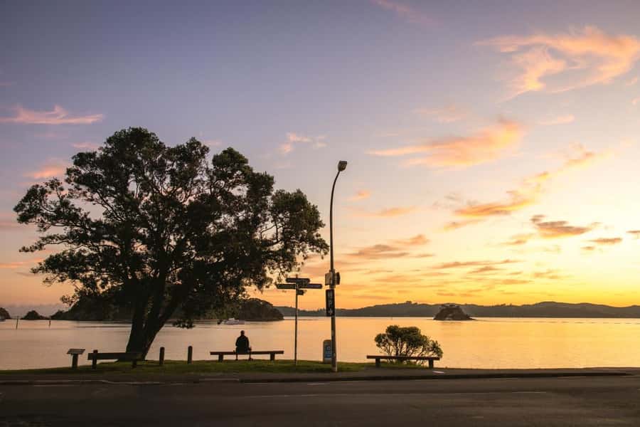 Auckland: Bay of Islands Tour & Cruise 2Day Small Group Tour - Key points at a glance