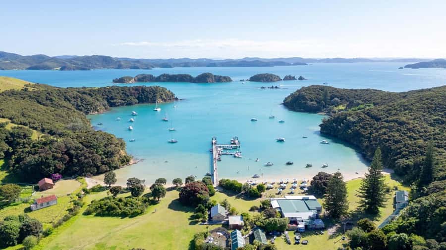 Auckland: Bay of Islands Tour & Cruise 2Day Small Group Tour - Waipoua Forest and the Tane Mahuta change