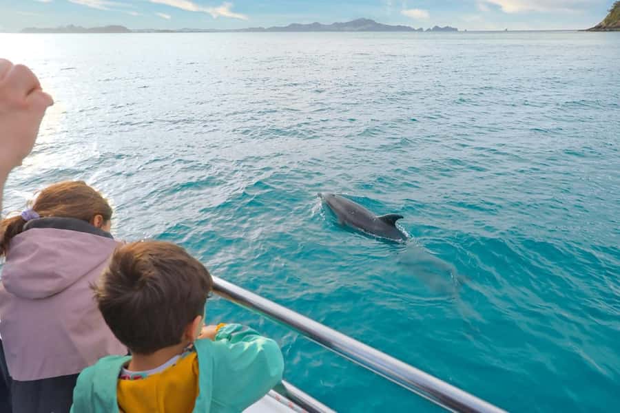 Auckland: Bay of Islands Tour & Cruise 2Day Small Group Tour - Opononi Beach and Hokianga Harbour