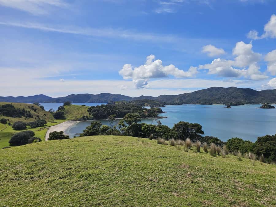Auckland: Bay of Islands Tour & Cruise 2Day Small Group Tour - Otehei Bay gives the cruise breathing room