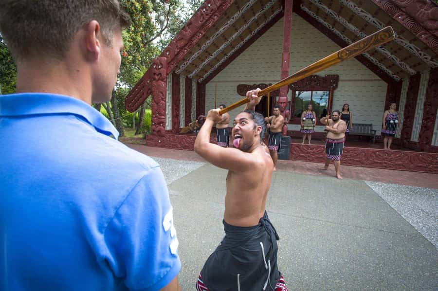 Auckland: Bay of Islands Tour & Cruise 2Day Small Group Tour - The guided return to Auckland