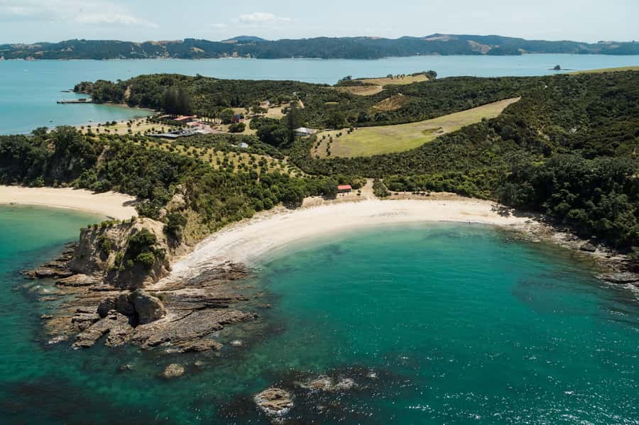 Auckland: Tikapa Moana Whales, Dolphins and Islands Cruise - Man O’ War Vineyard: wine, lunch, and Waiheke time