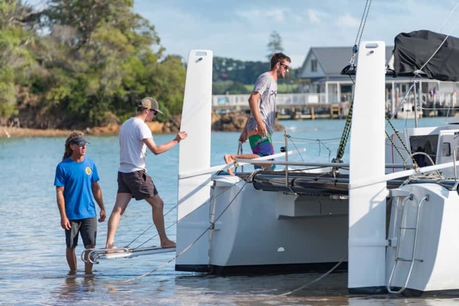 Bay of Islands: Catamaran Sail, Wildlife Island & Lunch - Key points to know before booking