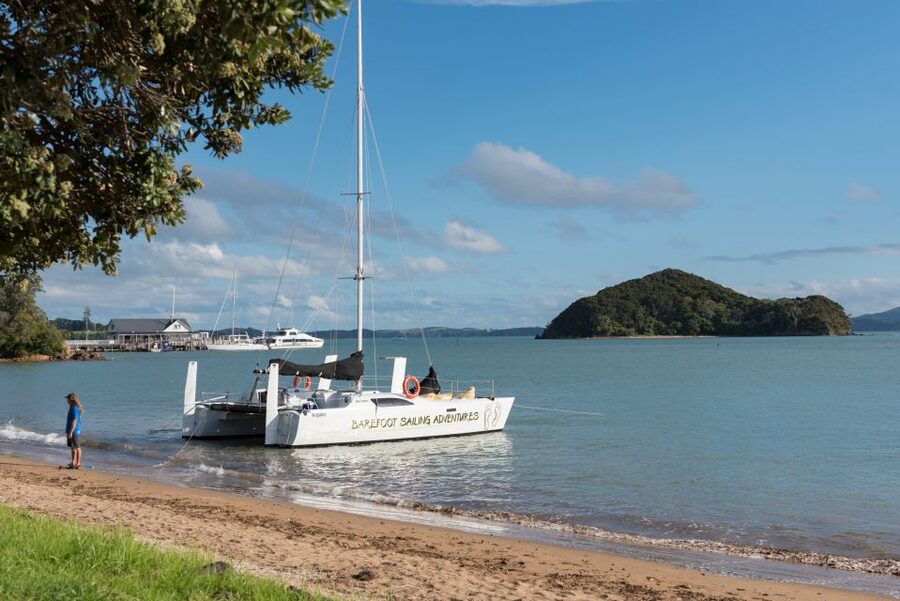Bay of Islands: Catamaran Sail, Wildlife Island & Lunch - Who should book this experience?