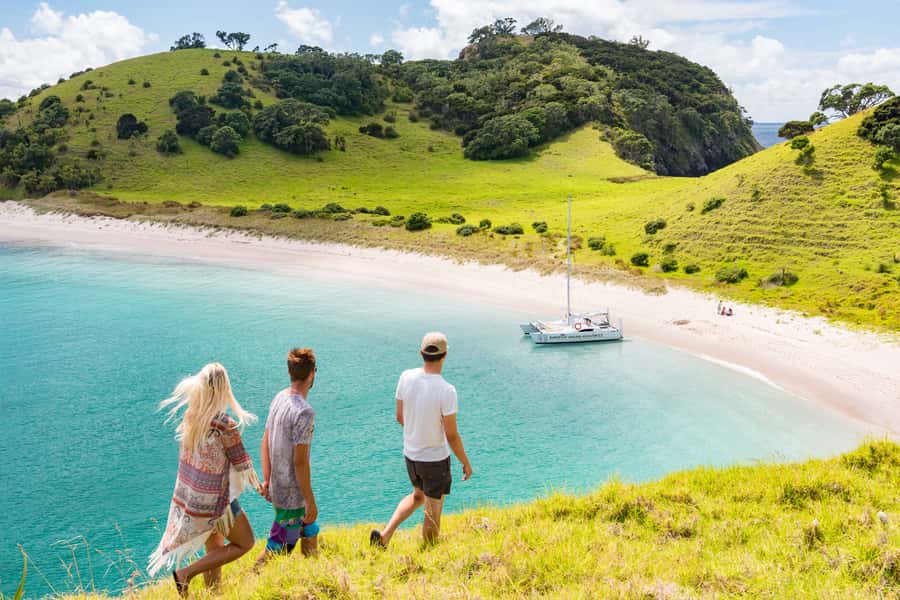 Bay of Islands: Catamaran Sail, Wildlife Island & Lunch - Why this Bay of Islands sailing trip works so well