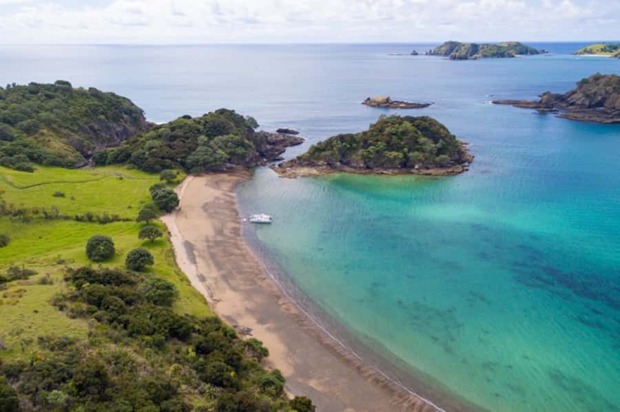 Bay of Islands: Catamaran Sail, Wildlife Island & Lunch - The wildlife sanctuary island stop