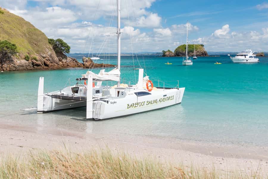 Bay of Islands: Catamaran Sail, Wildlife Island & Lunch - The return sail to Paihia
