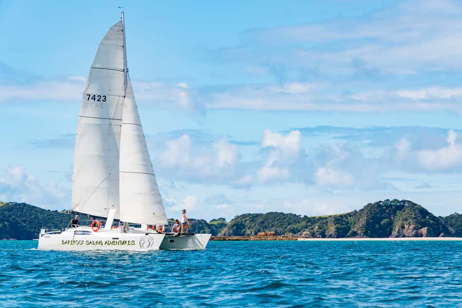 Bay of Islands: Catamaran Sail, Wildlife Island & Lunch - Starting from Paihia Beach