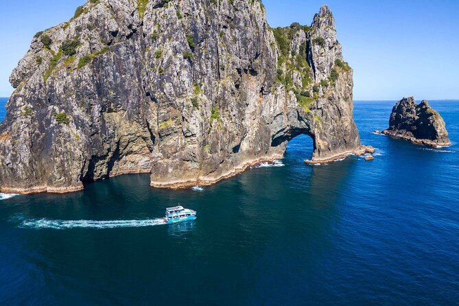 Bay of Islands Cruise & Island Tour - Snorkel, Hike,Swim,Wildlife - Why this 4.5-hour cruise works so well