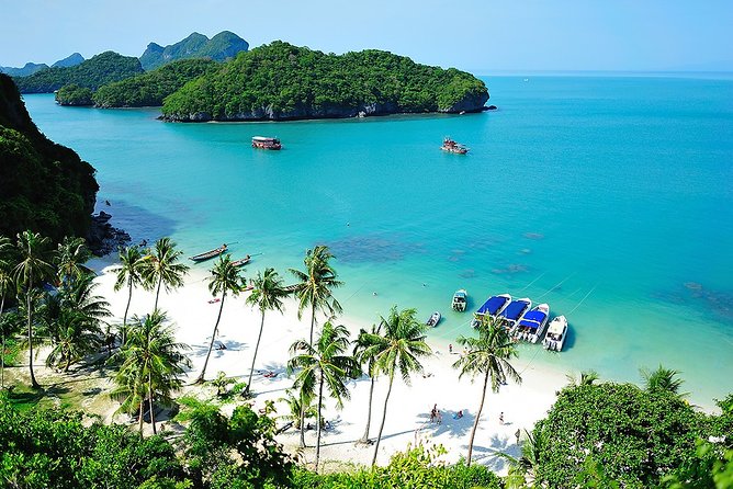 Beyond Angthong 42 Islands Premium Service Trip By Speedboat From Koh Samui - Snorkeling among coral gardens and colorful fish