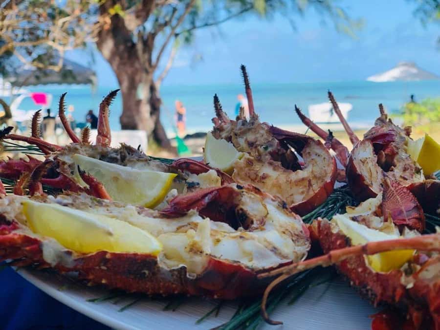 Blue bay: boat trip for ile au cerf (5 islands, barbecue) - Up Grand River South East to the waterfall