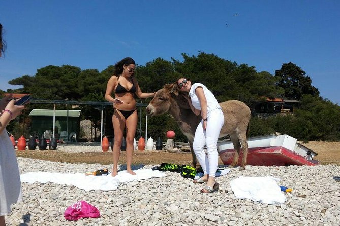 Blue Cave, Hvar and Five islands - Small-Group Tour From Split - Guide service and comfort on board