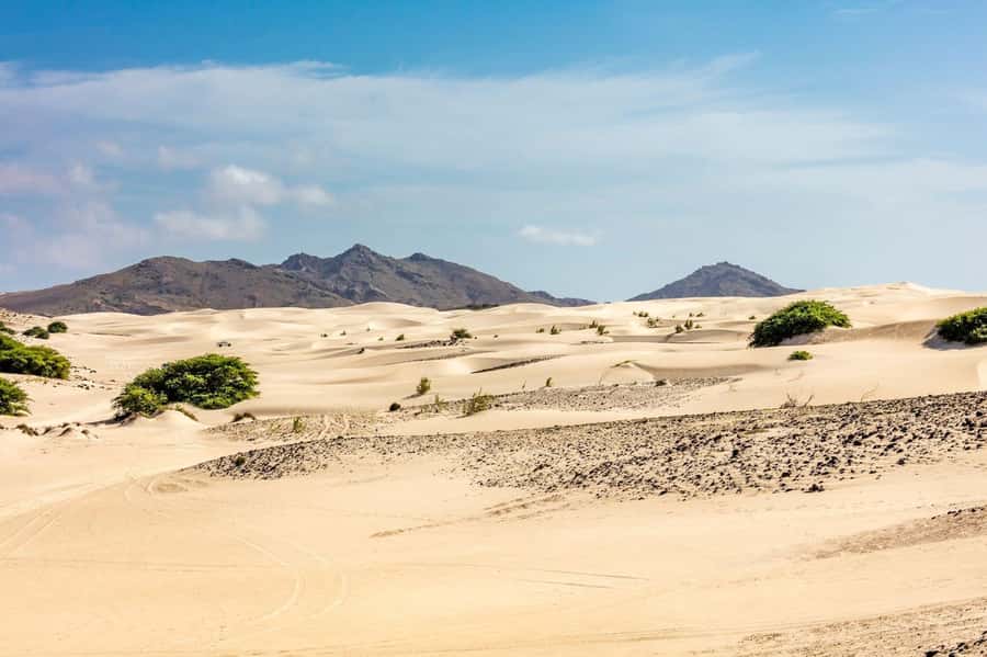 Boa Vista Full Day 4x4 Island Tour with Beachfront Lunch - Key points to know before booking