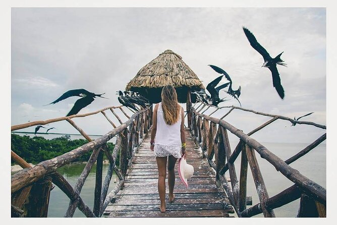 Boat Tour of Three Islands in Holbox with Transportation - What this Holbox boat trip is really like