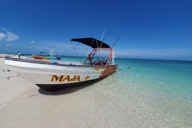 Boat Tour of Three Islands in Holbox with Transportation - Isla Pájaros and the value of a flexible route