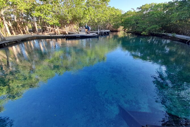 Boat Tour of Three Islands in Holbox with Transportation - Boat comfort, swimming, and what to pack