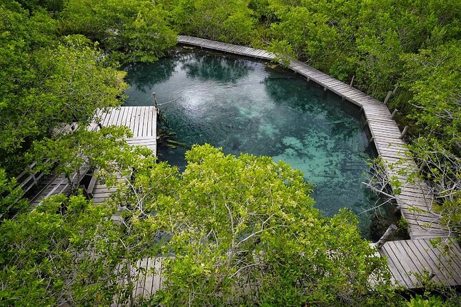 Boat Tour of Three Islands in Holbox with Transportation - Is $41.76 a good value?