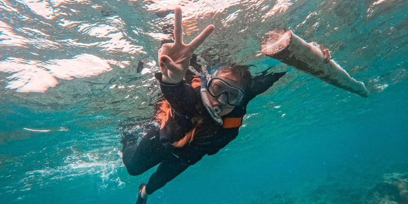 Bohol Dolphin Watching, Balicasag, and Virgin Island Tour - Balicasag Island and the one-hour snorkeling stop