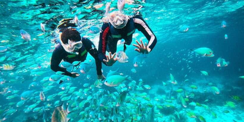 Bohol Dolphin Watching, Balicasag, and Virgin Island Tour - What the $51 price really covers