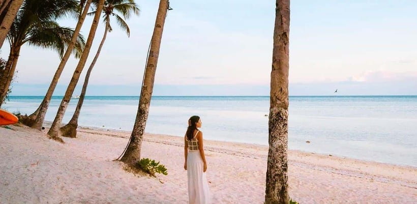 Bohol: Dolphin Watching & Sea Turtle Swim Island Tour - What to pack for the six-hour morning