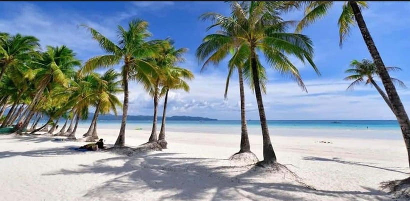 Bohol: Dolphin Watching & Sea Turtle Swim Island Tour - Who should book this Bohol boat tour