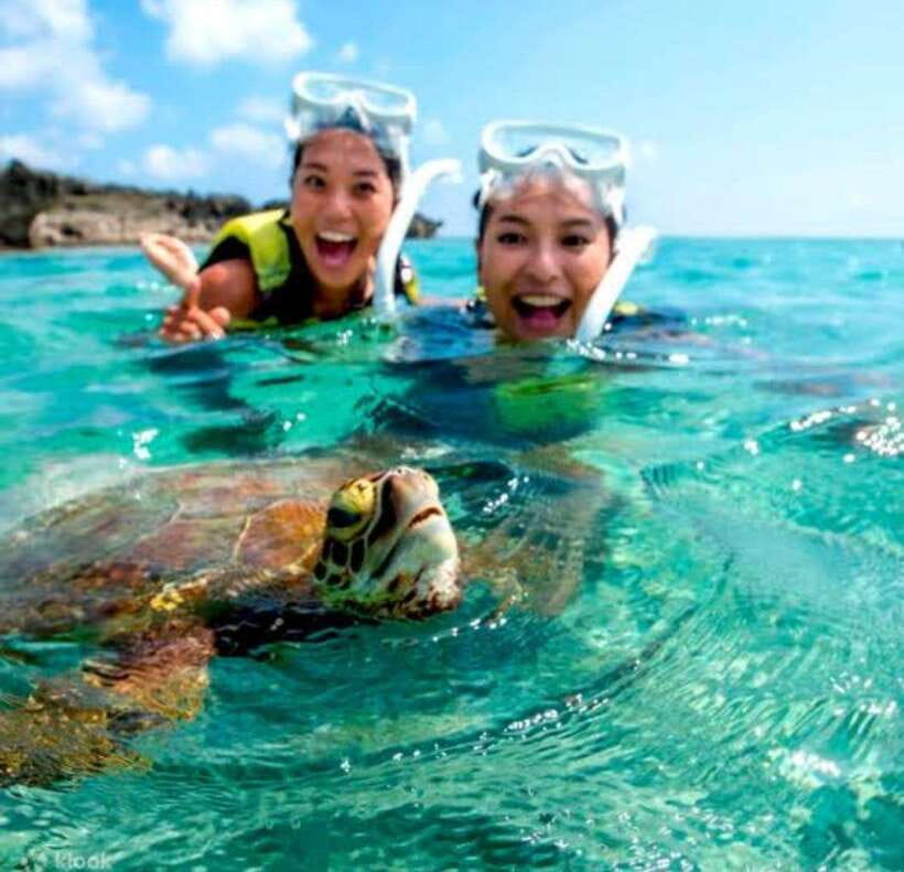 Bohol: Dolphin Watching & Sea Turtle Swim Island Tour - Watching wild dolphins at sunrise