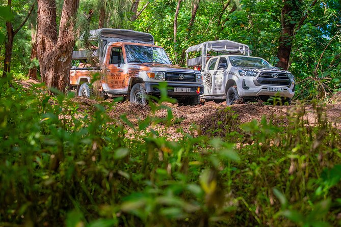 Bora Bora Half Day 4X4 Island Safari Tours - What this 3.5-hour Bora Bora safari is really like