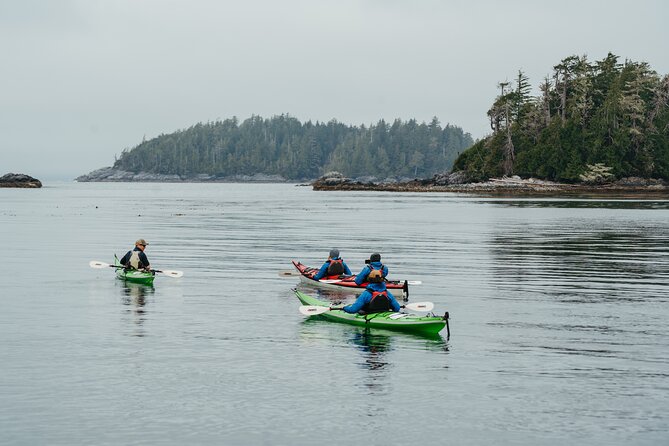 Broken Group Islands Day Tour - Is $359.17 a fair price?