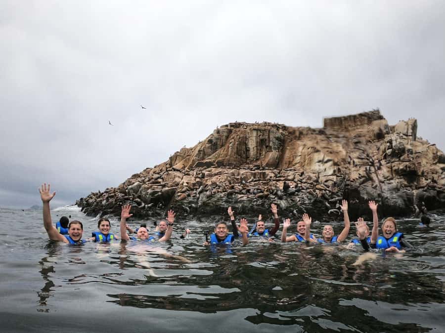 Callao: Swimming with Sea Lions Palomino Islands Boat Tour - Why Palomino Island is the real attraction