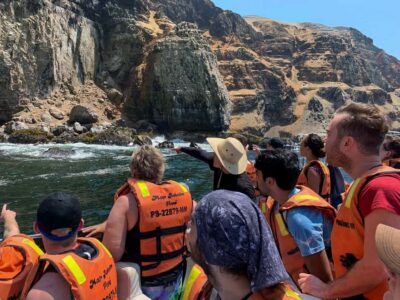 Callao: Swimming with Sea Lions Palomino Islands Boat Tour