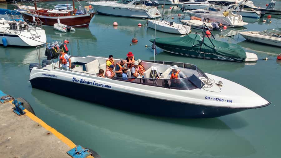 Callao: Swimming with Sea Lions Palomino Islands Boat Tour - Guides, safety, and the feel of the trip