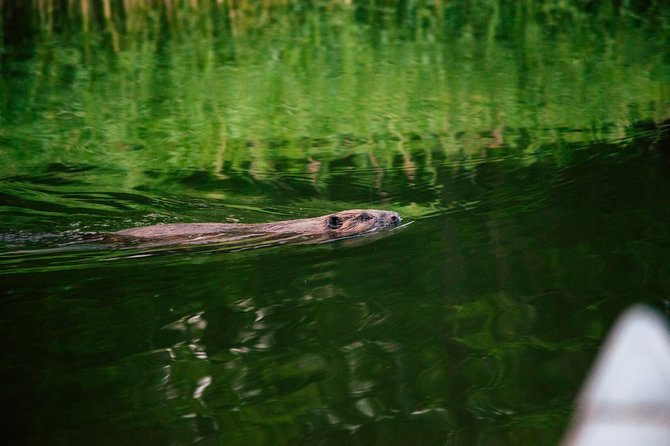Canoe adventure in Stockholm Archipelago - Returning by canoe and vehicle