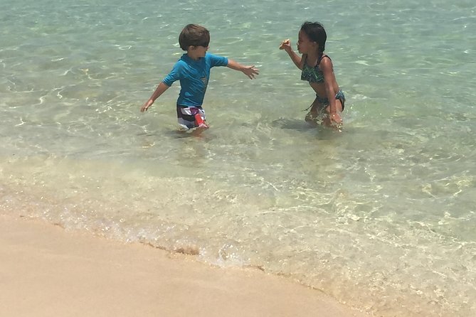 CAPTAIN ALAN'S 4hr -3 Islands-snorkeling-turtles-beach ADVENTURE - Pinel Island, shallow water, and iguanas