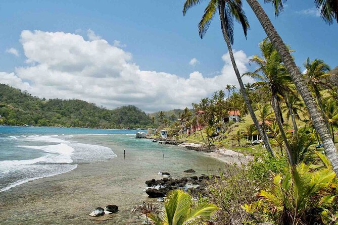 Caribbean Day Tour: Isla Grande, Mamey, Monkey Island & Portobelo - Isla Mamey for sand, shade, and snorkeling