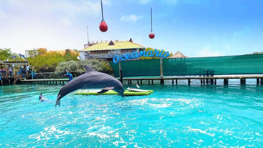 CARTAGENA: 4 islands by sport boat +oceanarium tickets - What this seven-hour island day is really like