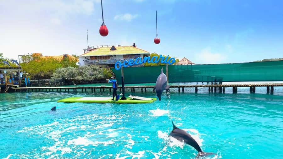 CARTAGENA: 4 islands by sport boat +oceanarium tickets - Cholón, where the quiet beach day gets loud